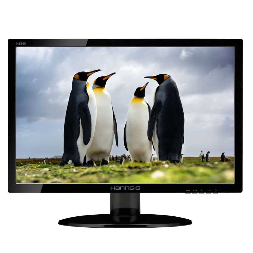 Monitor Led HannsG 18.5" HE195ANB