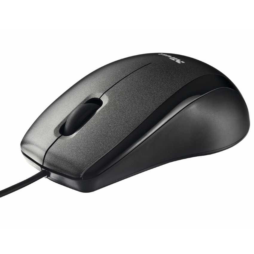 Raton Trust Carve Negro