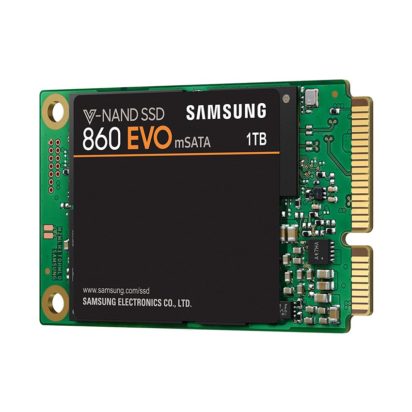 Samsung mSATA EVO 860 1 TB