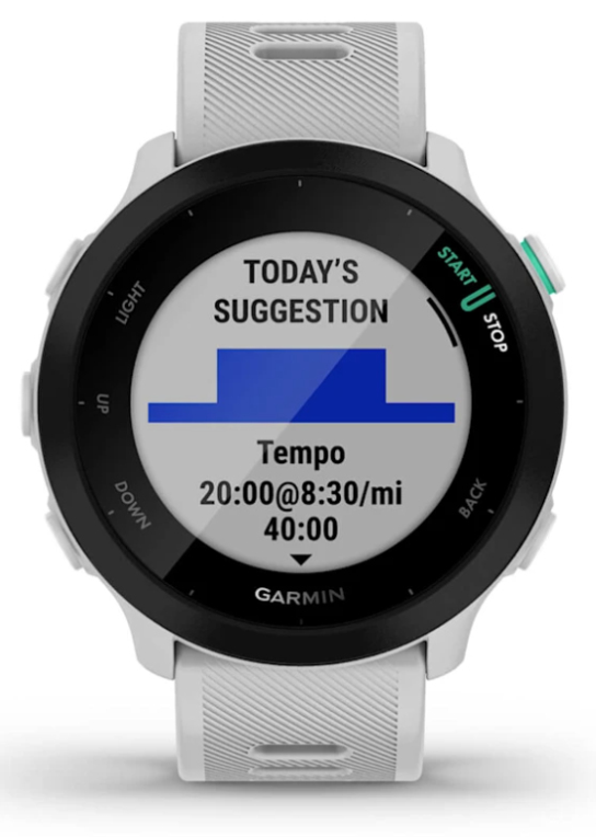 SmartWatch Garmin Forerunner 55 GPS 42mm WhiteStone miniatura 2