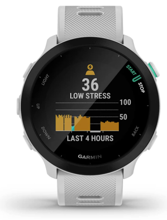 SmartWatch Garmin Forerunner 55 GPS 42mm WhiteStone miniatura 6