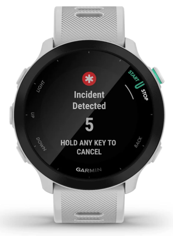 SmartWatch Garmin Forerunner 55 GPS 42mm WhiteStone miniatura 7