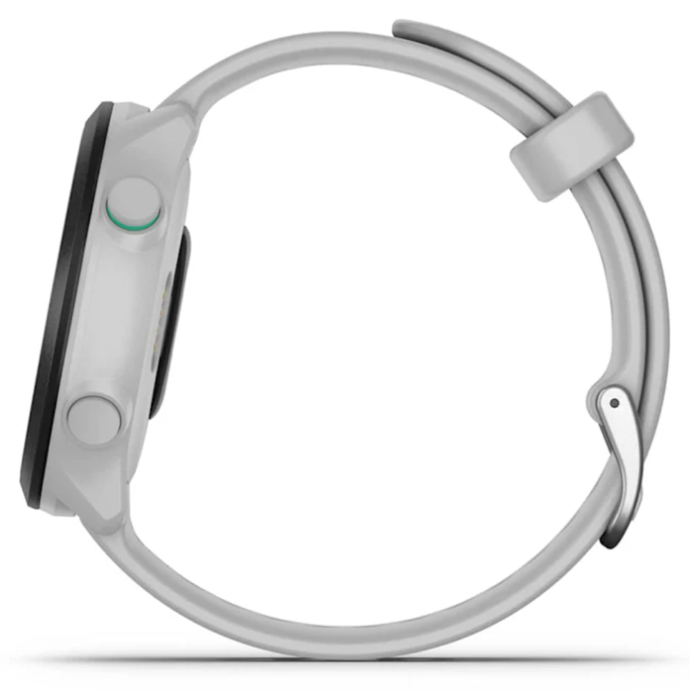 SmartWatch Garmin Forerunner 55 GPS 42mm WhiteStone miniatura 9